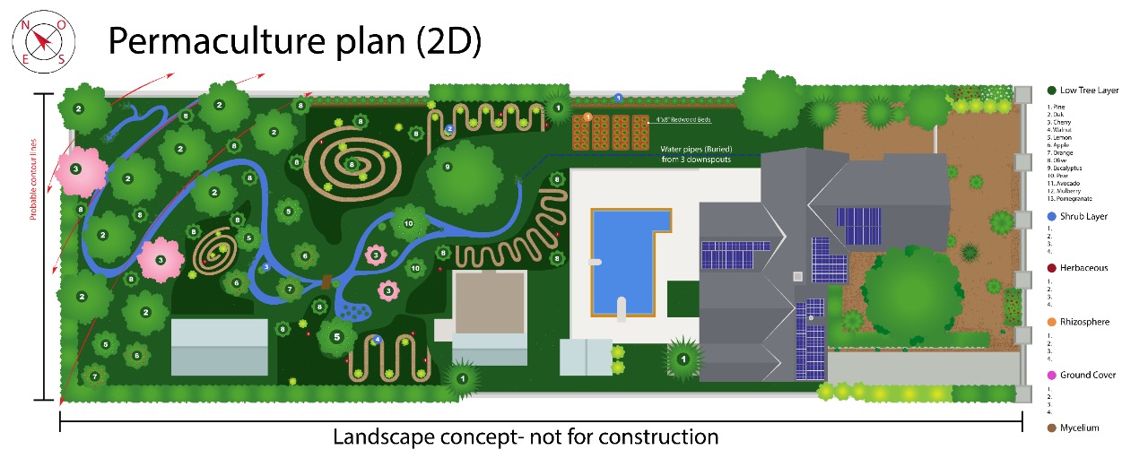 Azita-Berlouis_Permaculture-Colored-Version-by-Ecoterium_Design-by-Edible-Ecology