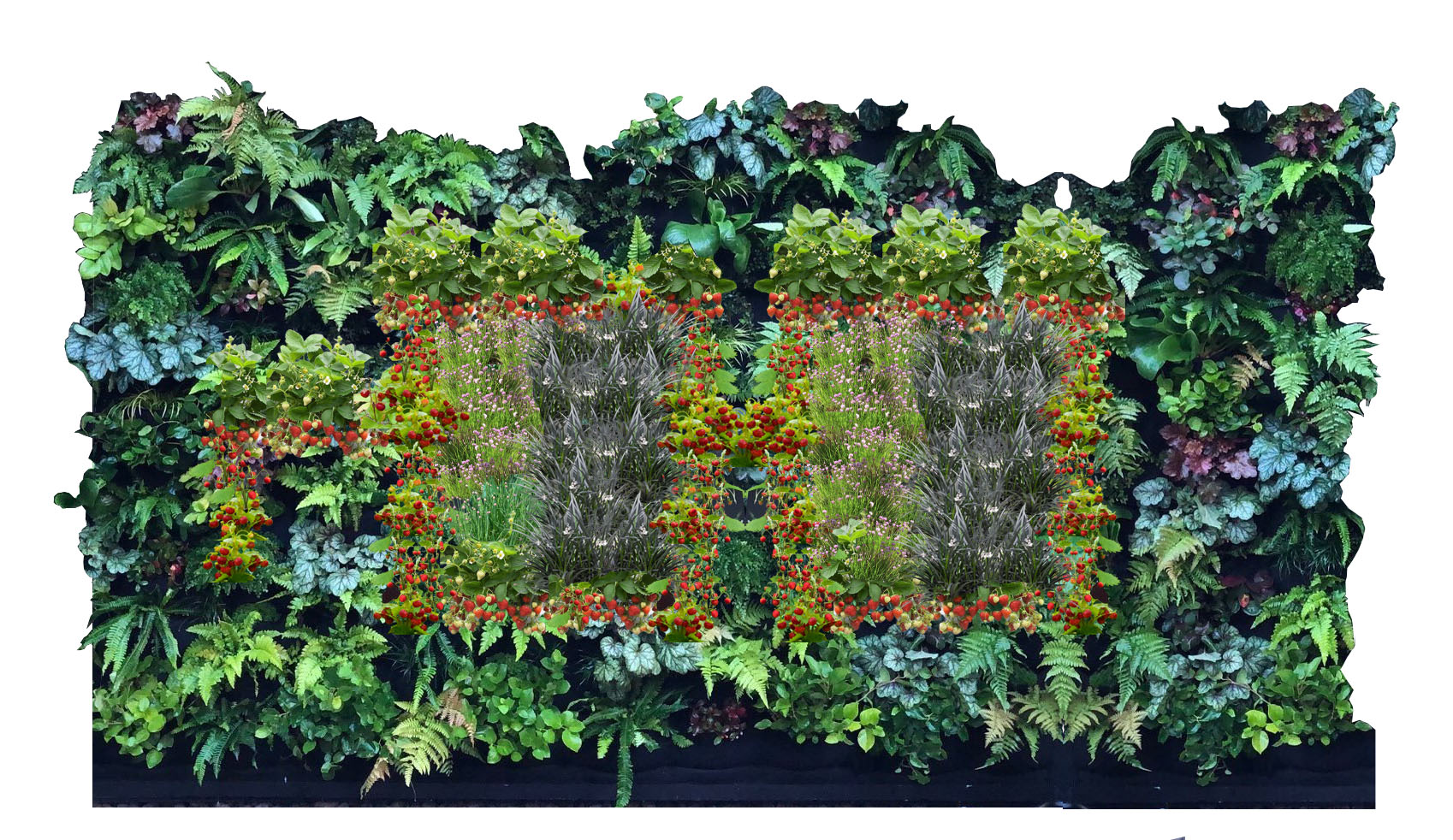 Smoothie-Living-Wall